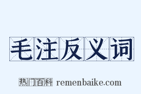 毛注反义词是什么意思的图片